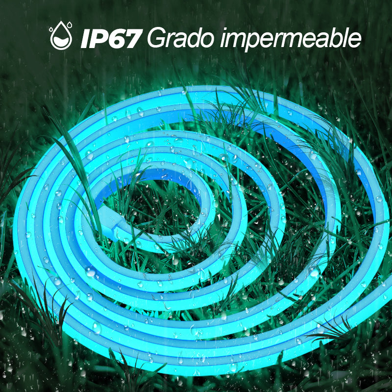 GENGXIN® Tira de LED Flex Neón 24V COB/252P 10 mts
