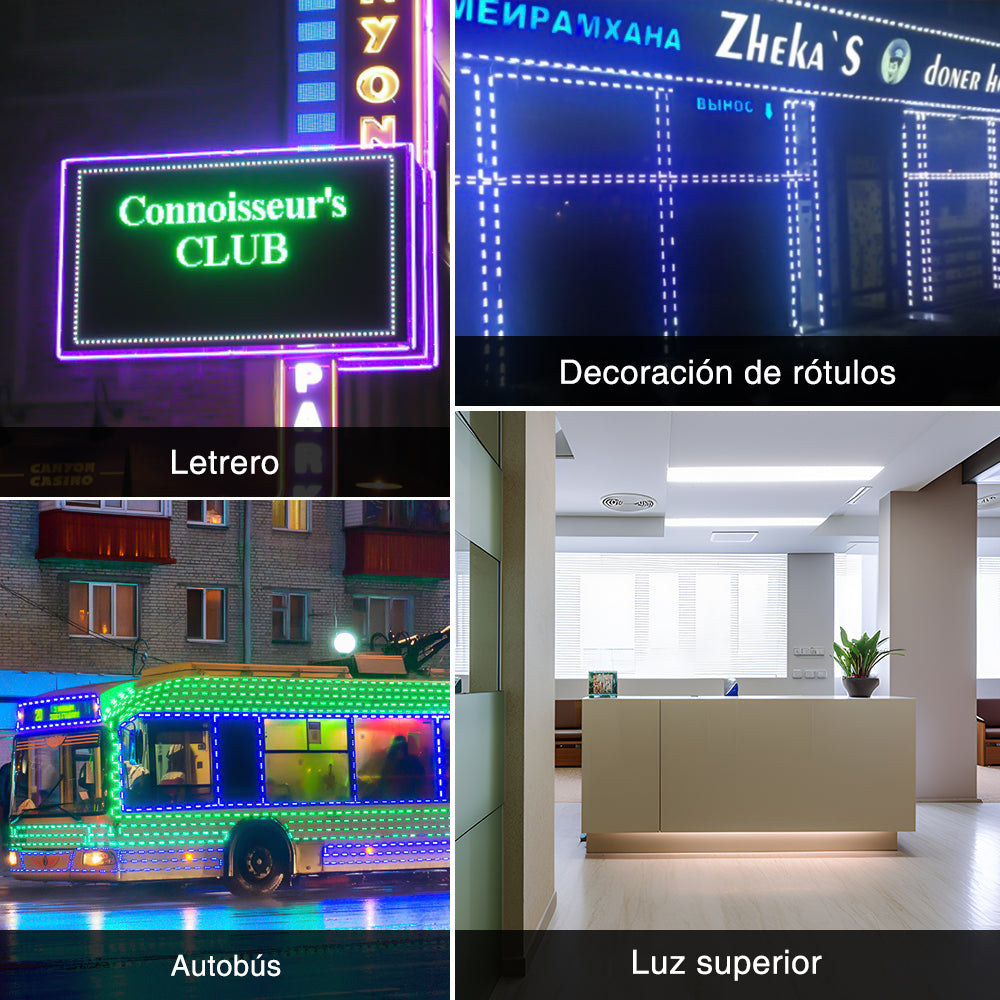 GENGXIN® Módulo LED 24V 1 de 20 pzas, varios colores