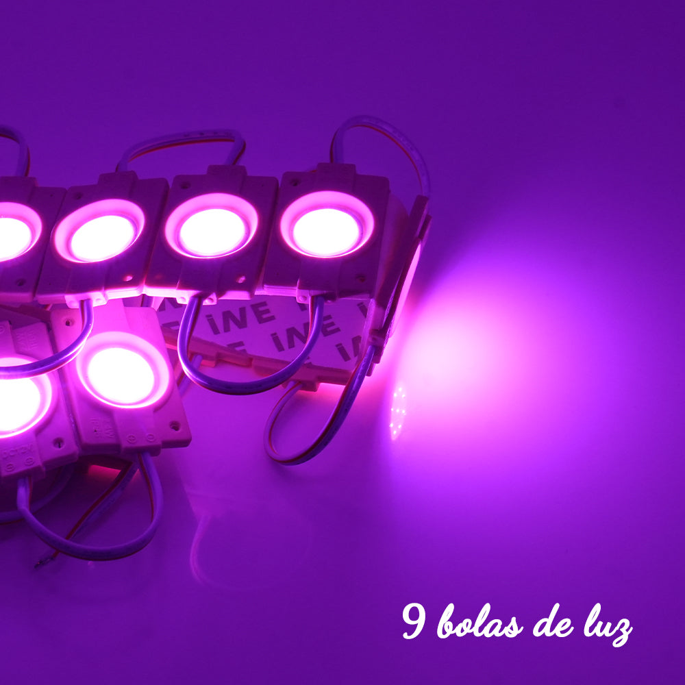 GENGXIN® Módulo LED 2 de 20 pzas ,varios colores