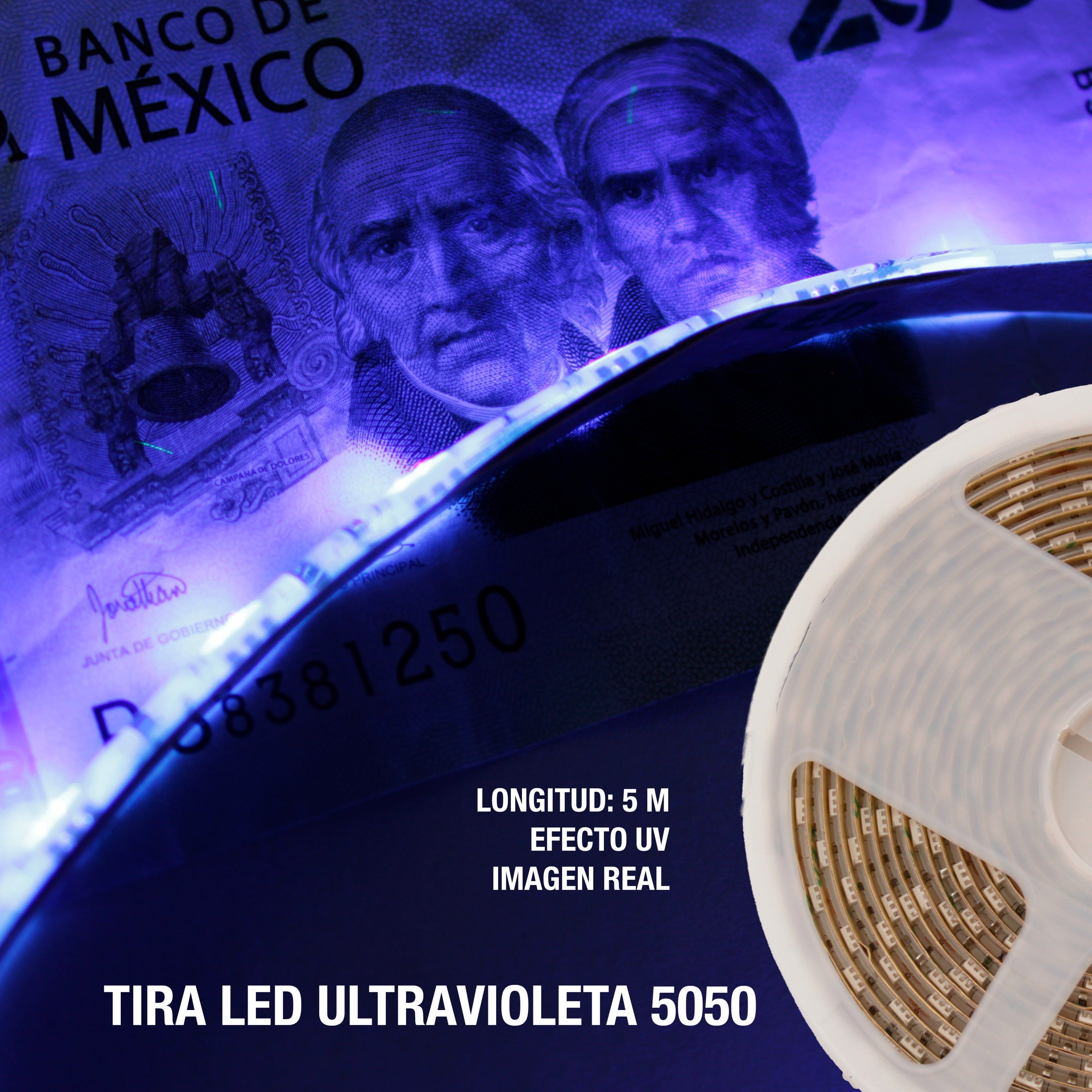 GENGXIN® Tira de LED Flex Morado UV 12V 5050/60P 5 Mts (Adaptador Incluido)