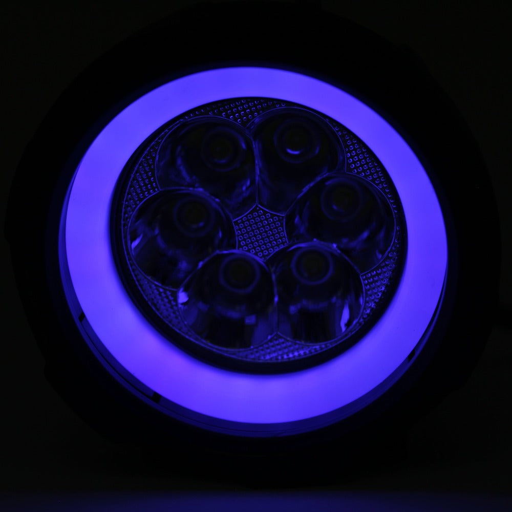 GENGXIN® Faro Redondo 3.19 Pulgadas Ángel - GZD 075/W - (Sólo para exhibición)