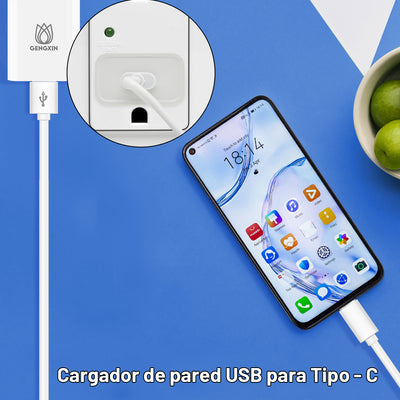 GENGXIN® Cargador de 5V2.4Amp tipo C