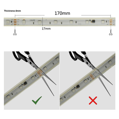 GENGXIN® Tira De LED Flex Manguera Rayo 24V 5050/36P 25Mts